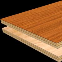 cuts-image-5