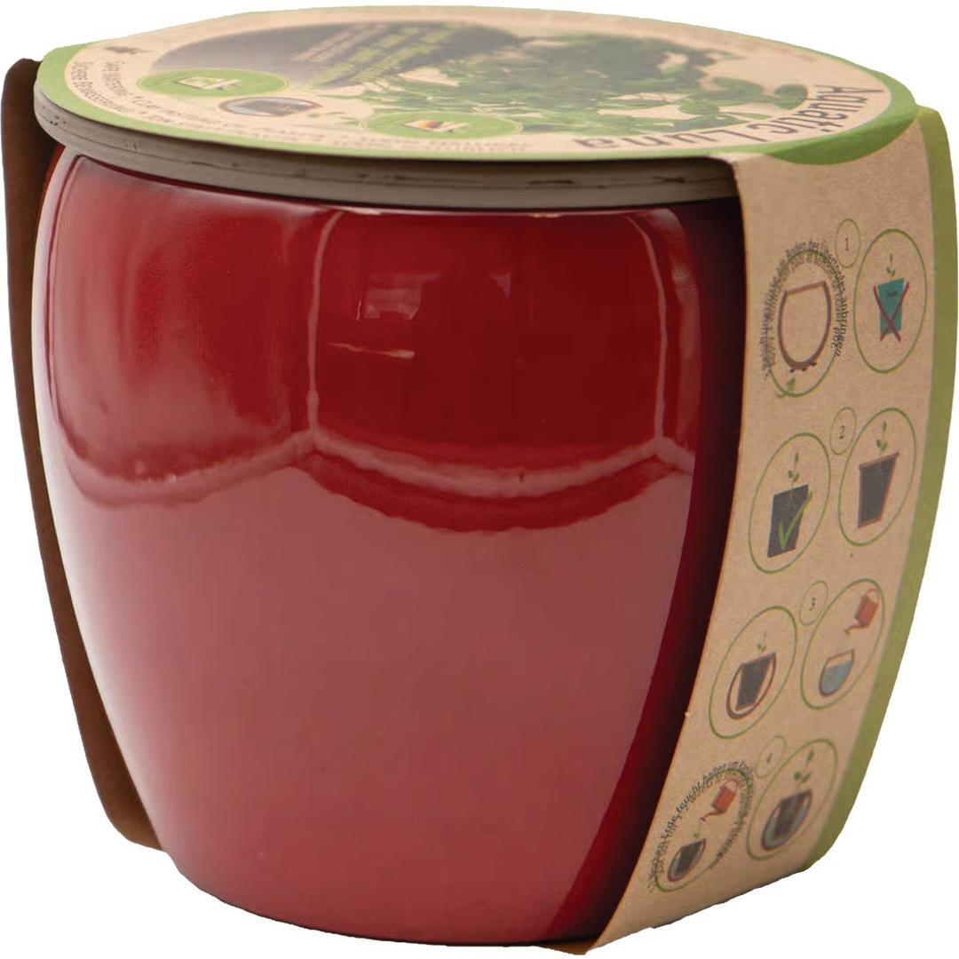 Product 710772