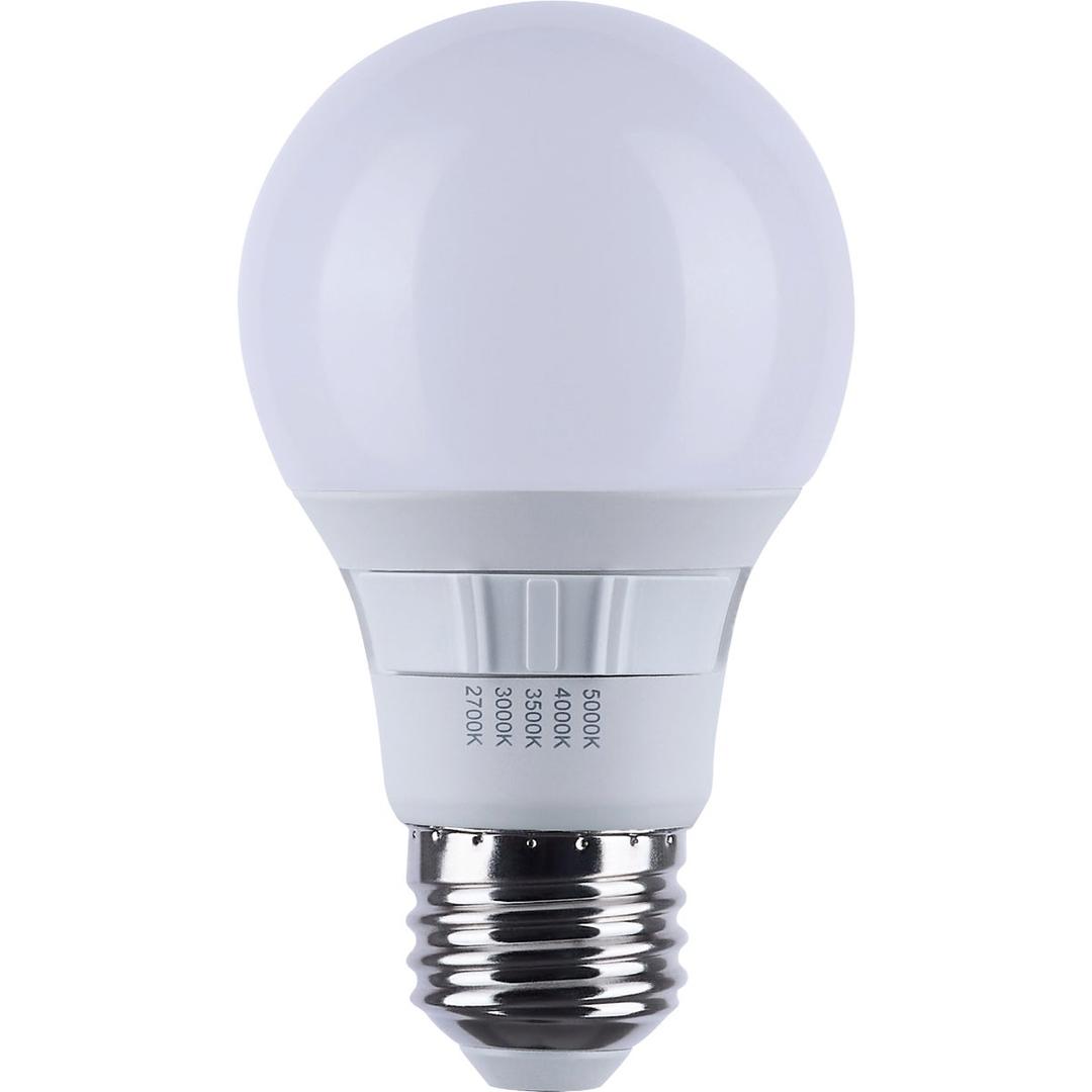 Product 517019