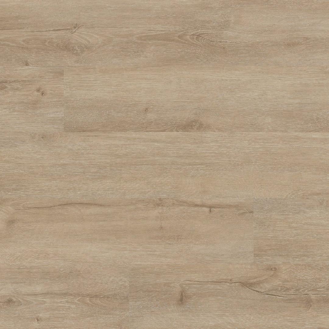 Product 185424