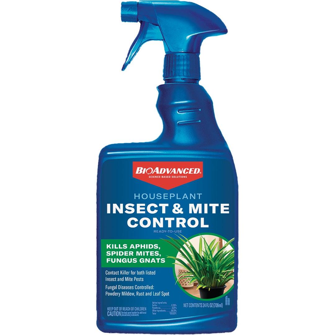 Product 769542