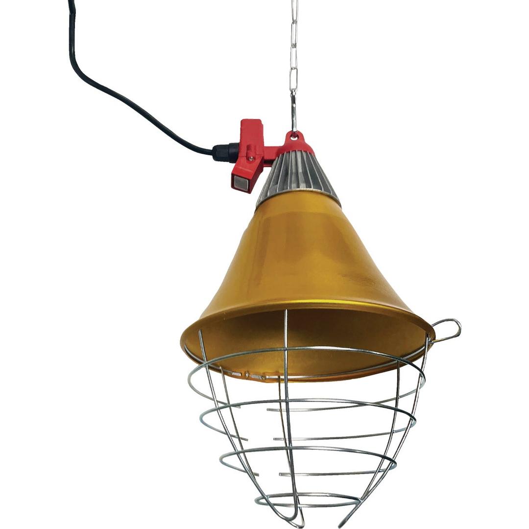 Product 718014