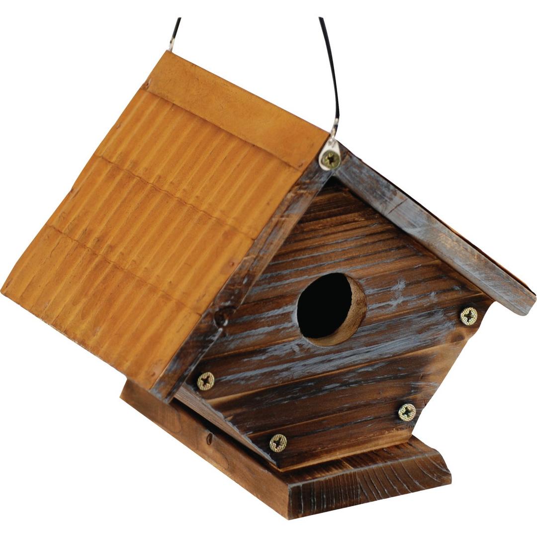 Product 881669