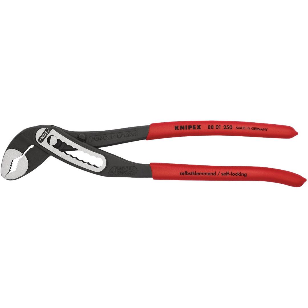 Product 309293