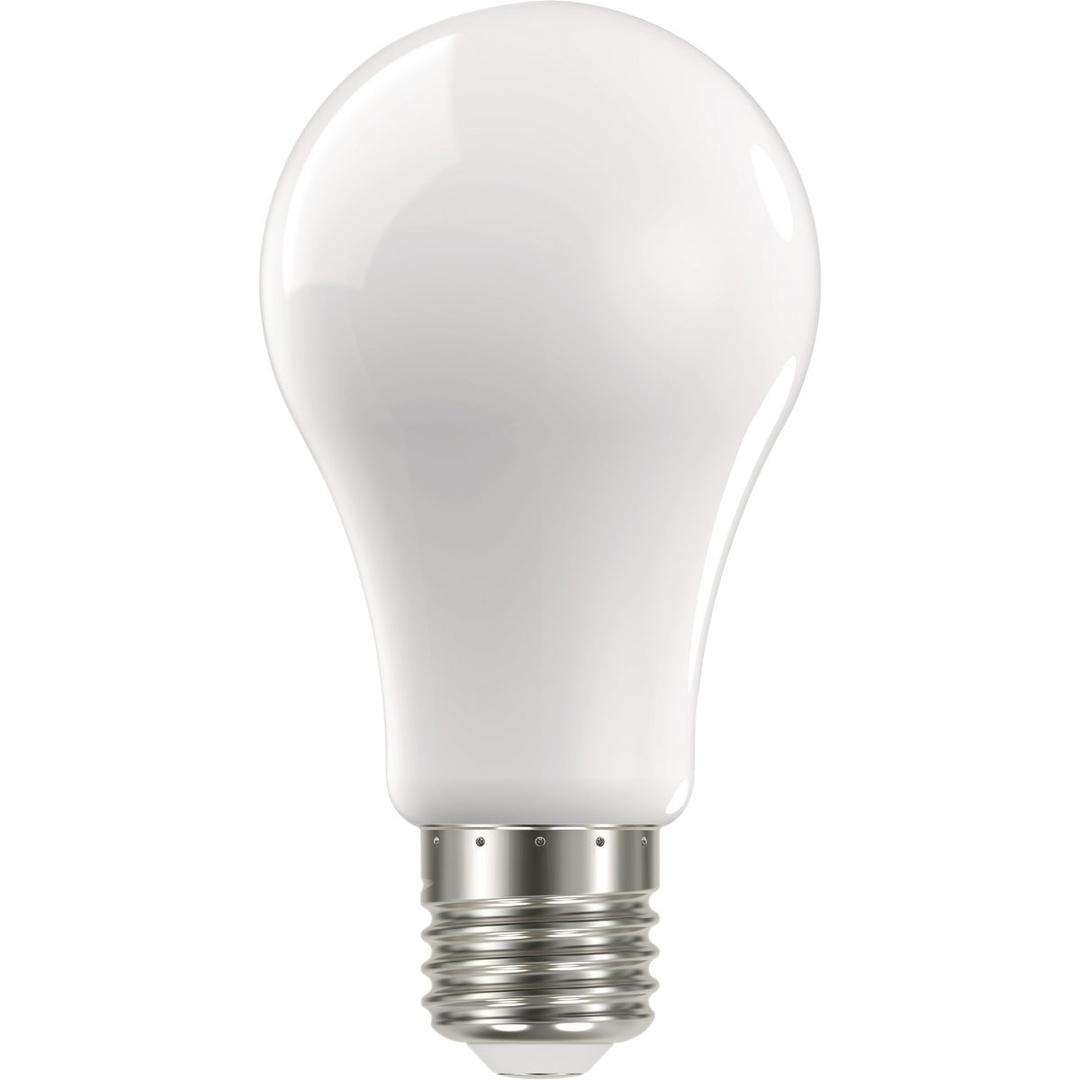 Product 529733