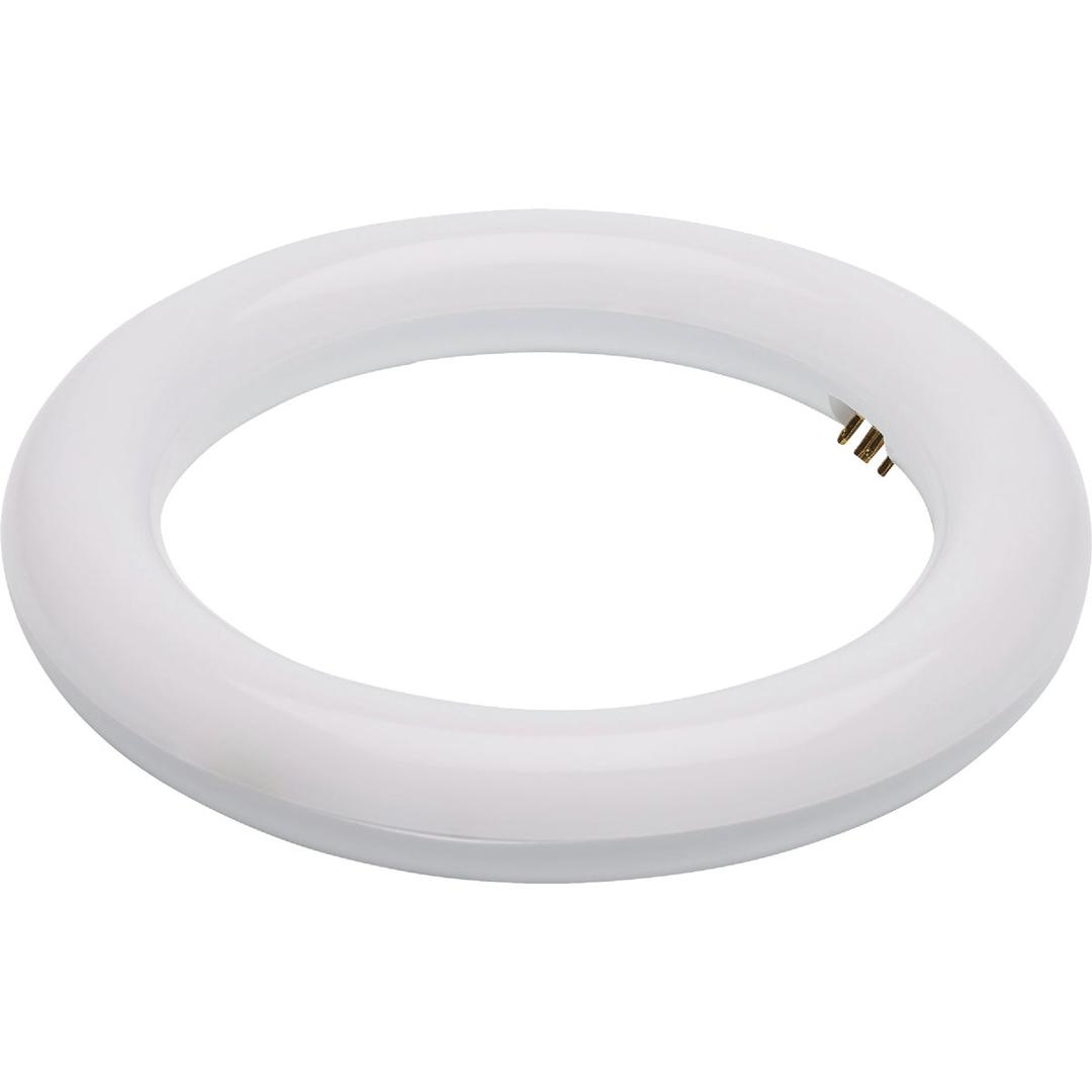Product 541499