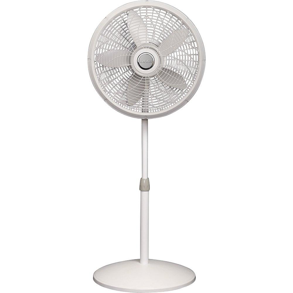 Product 501895