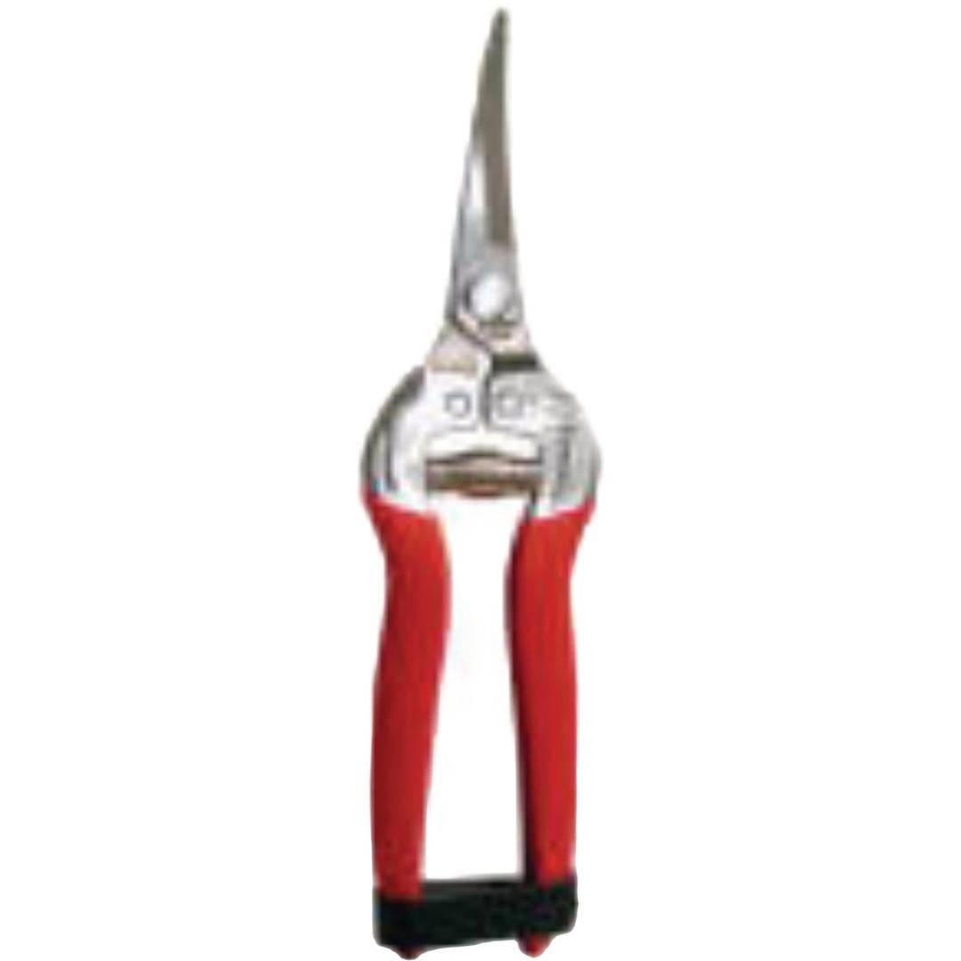 Product 711250