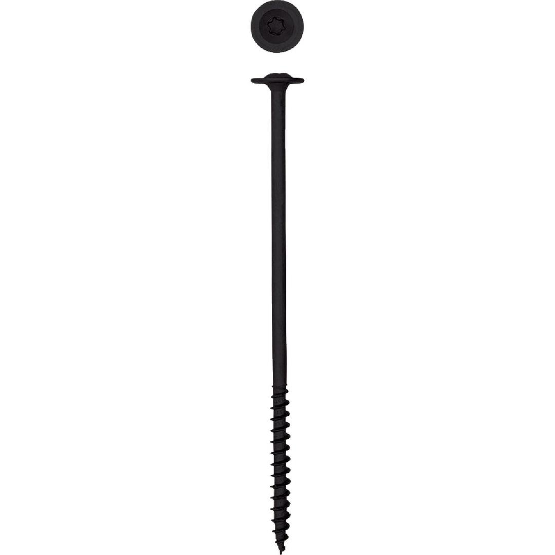 Product 204979