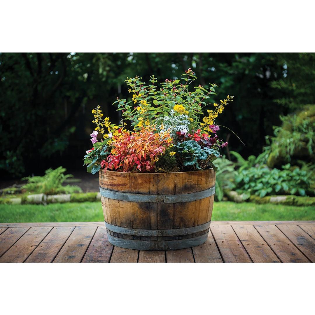 Product 749942