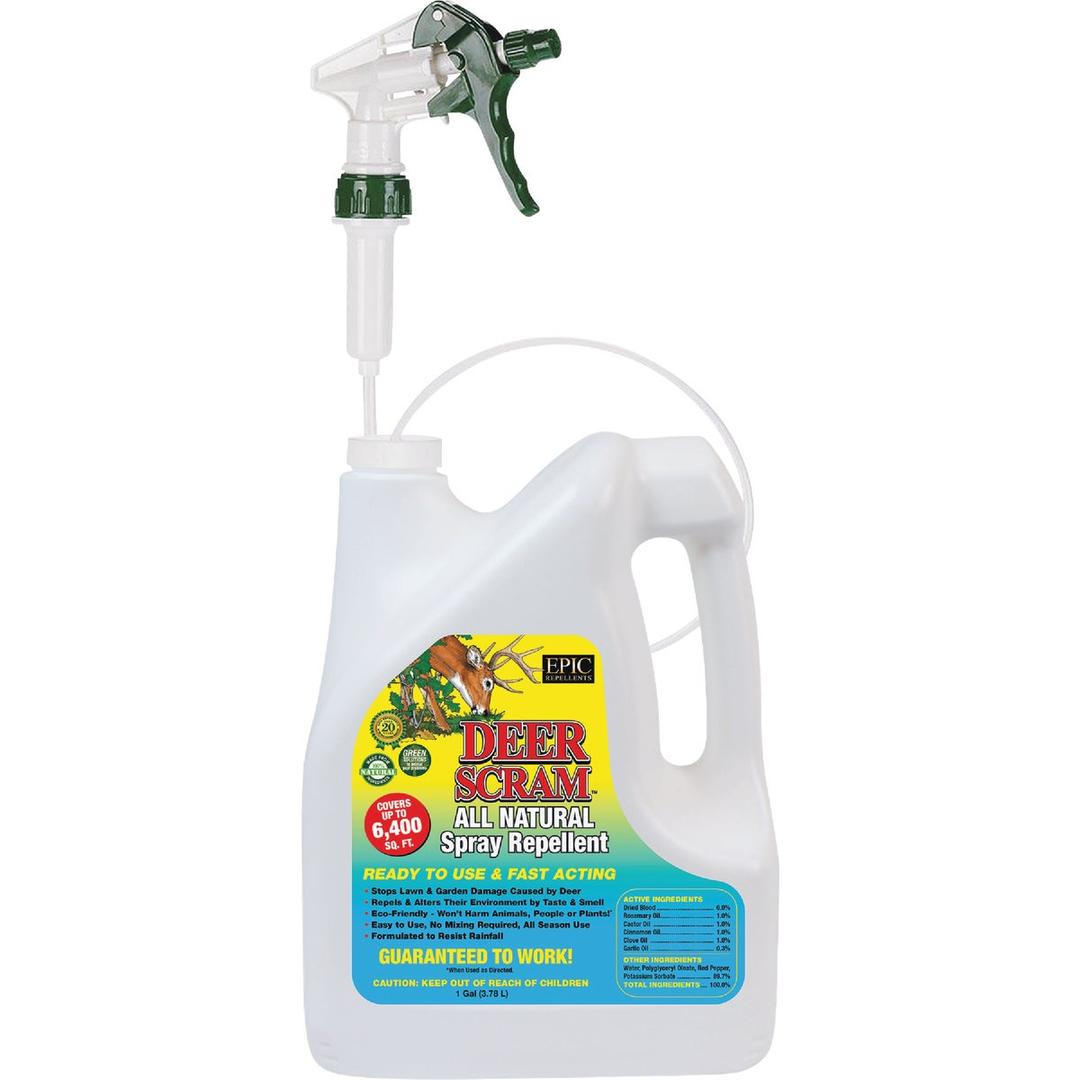 Product 721938