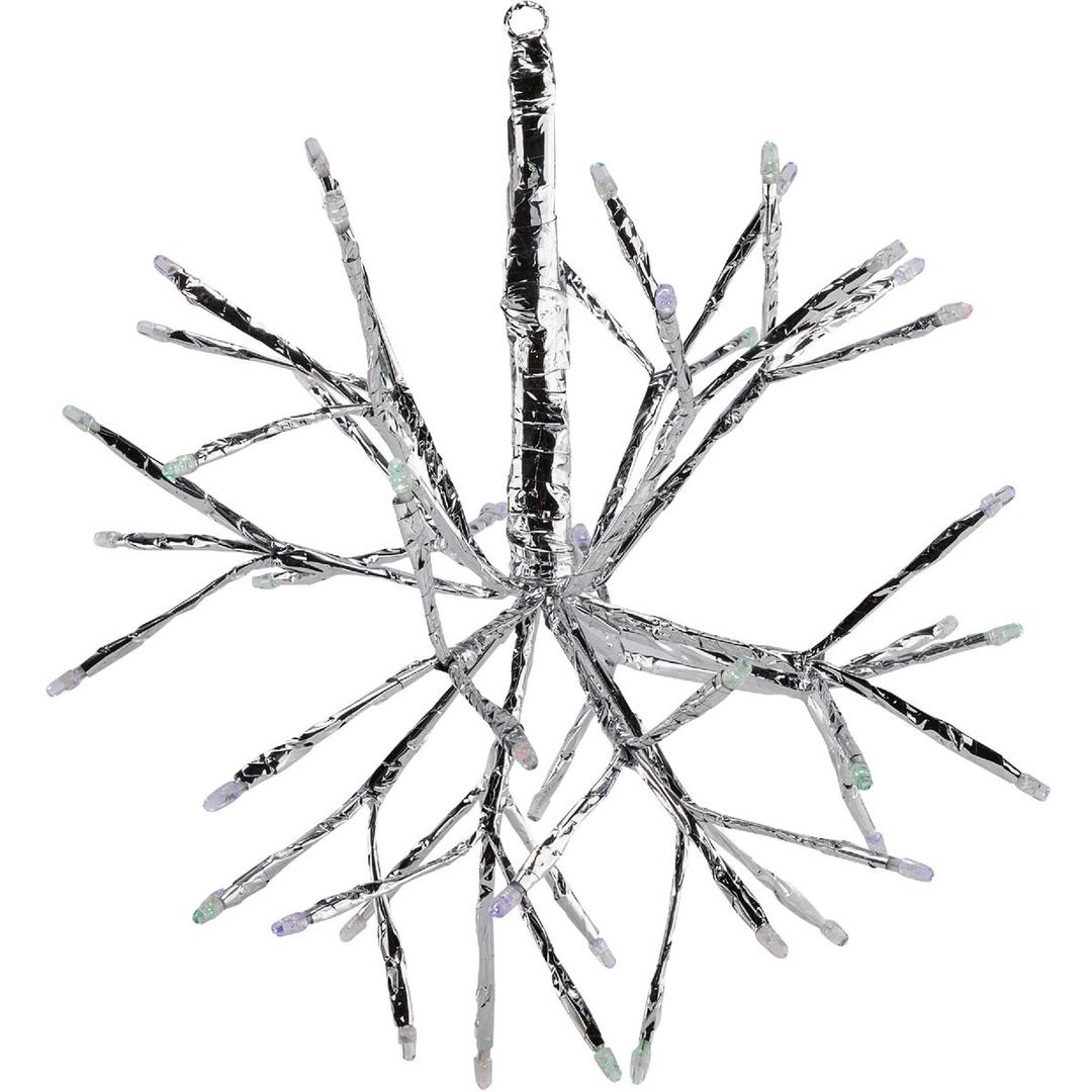 Product 813405