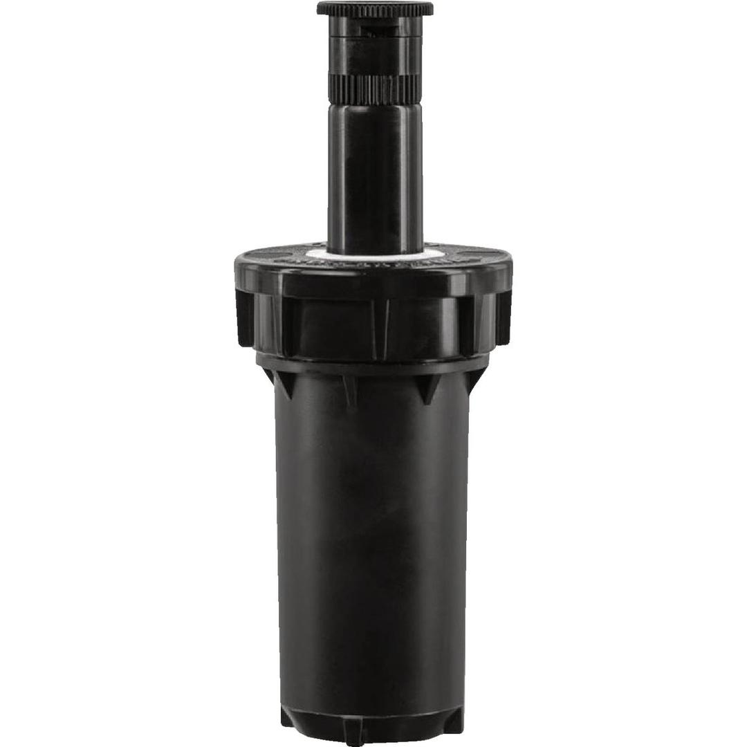 Product 743955