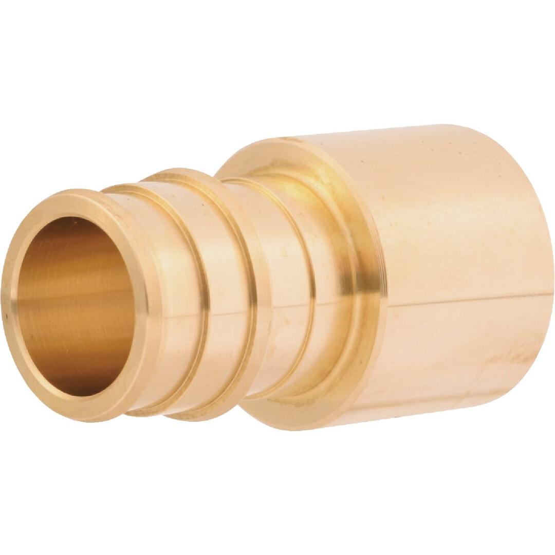 Product 491319