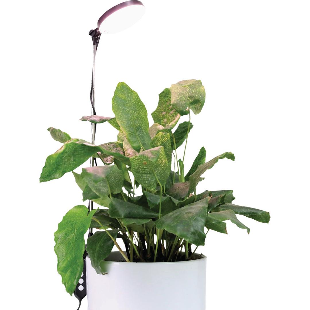 Product 751156