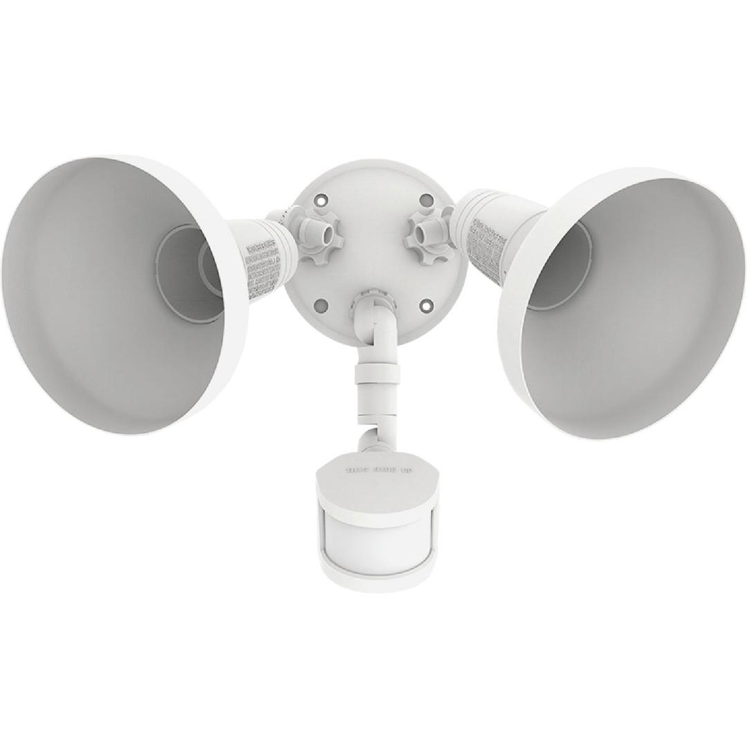 Product 545319
