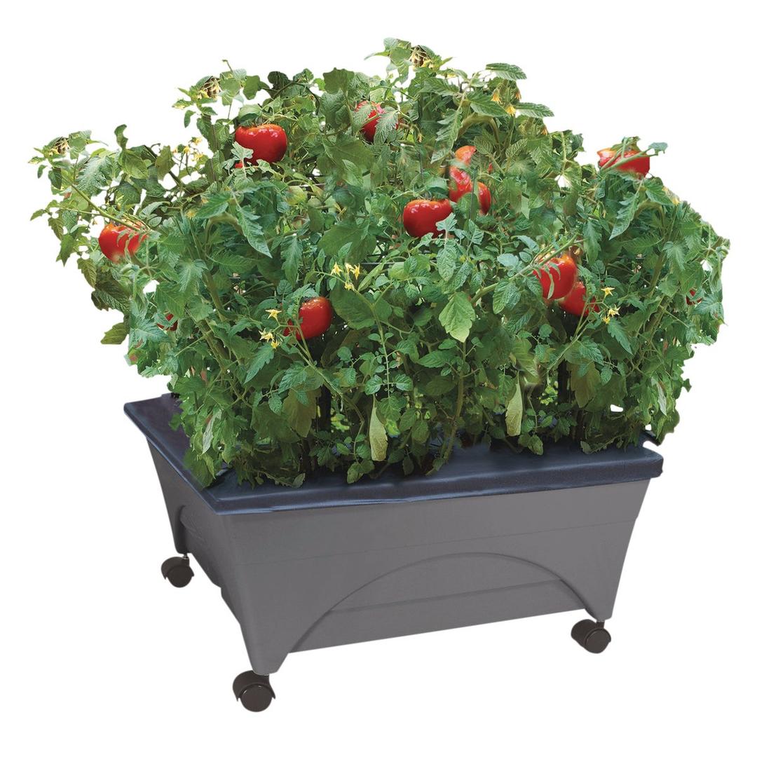 Product 733639