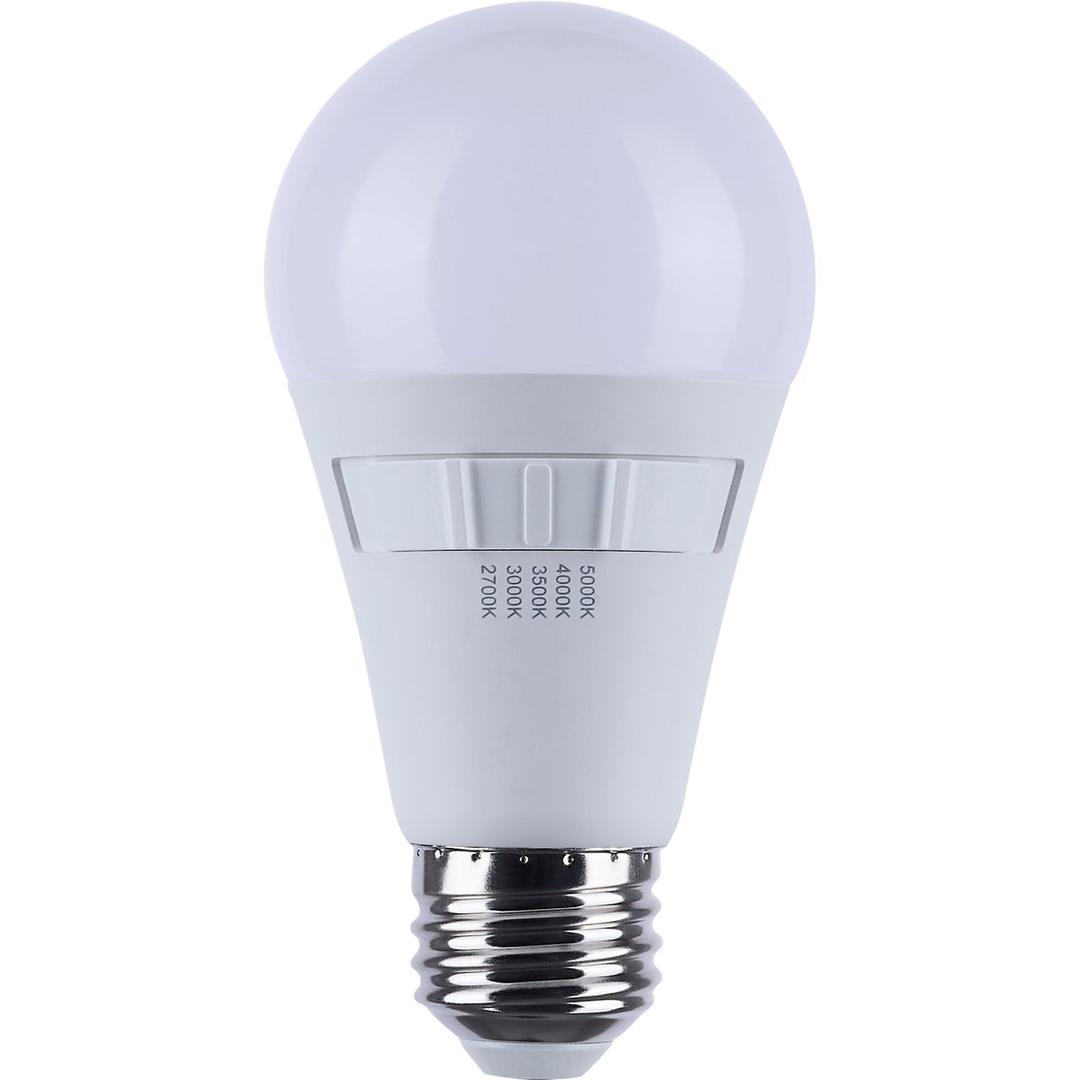 Product 518974