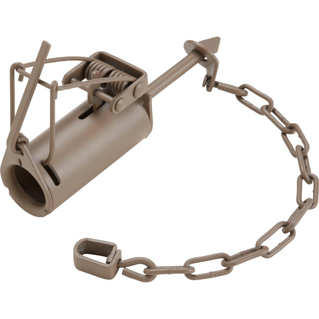 Product 710485