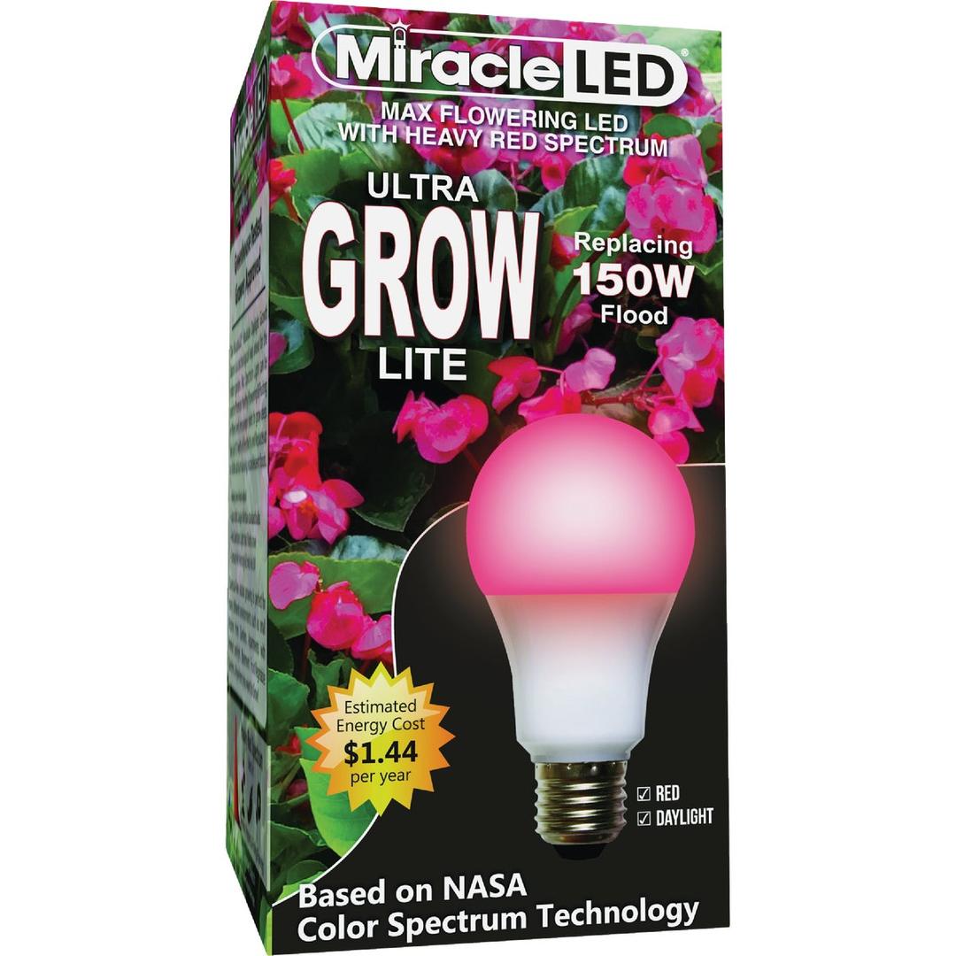 Product 716565