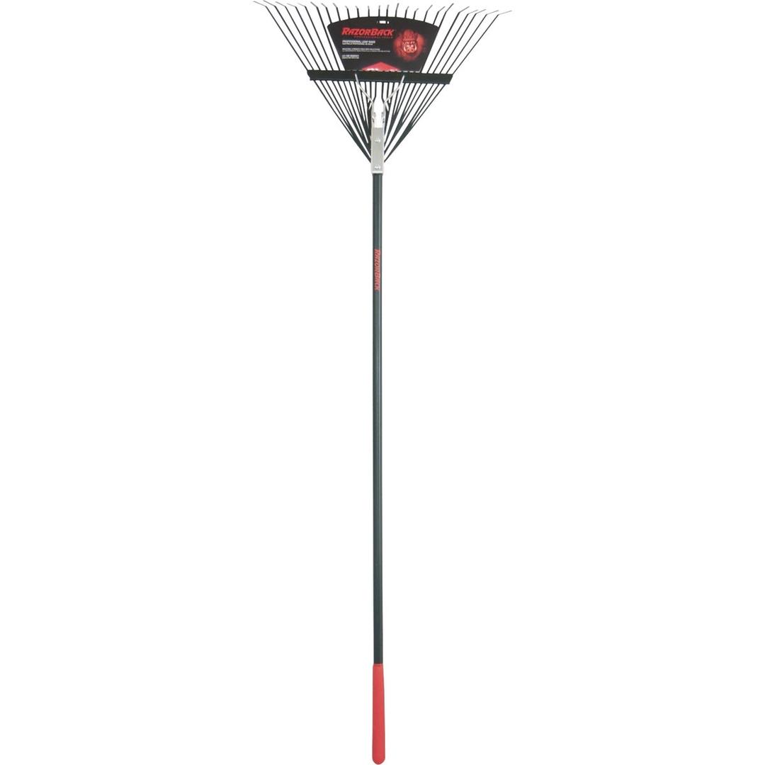 Product 755872