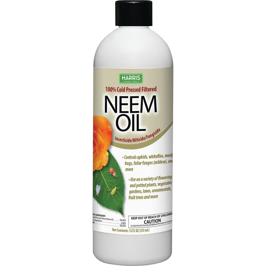 Product 719879
