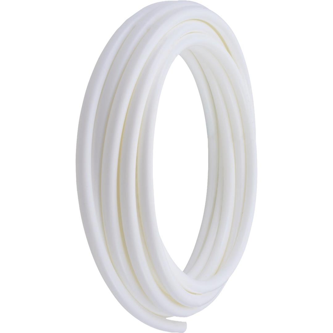 Product 481227