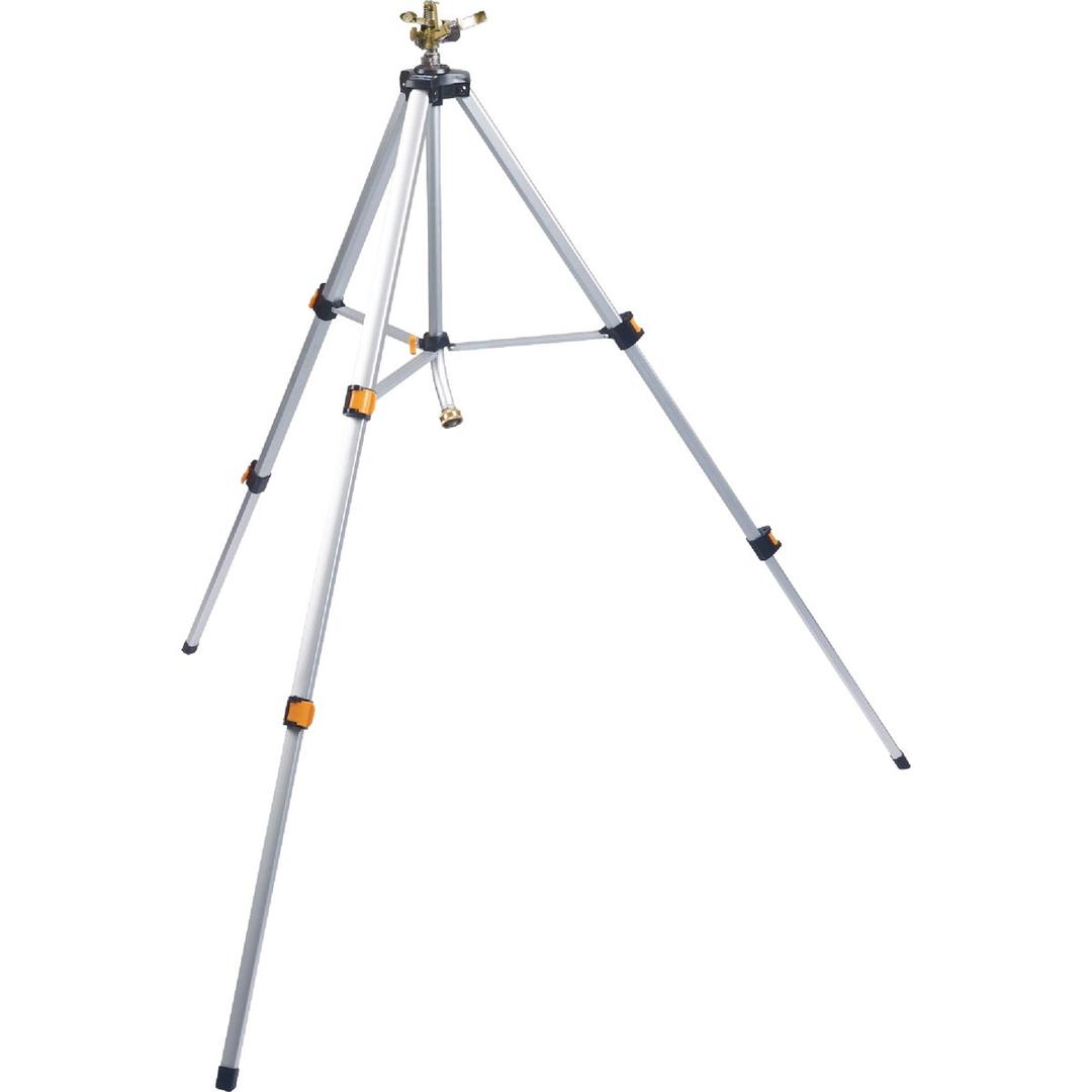 Product 755125