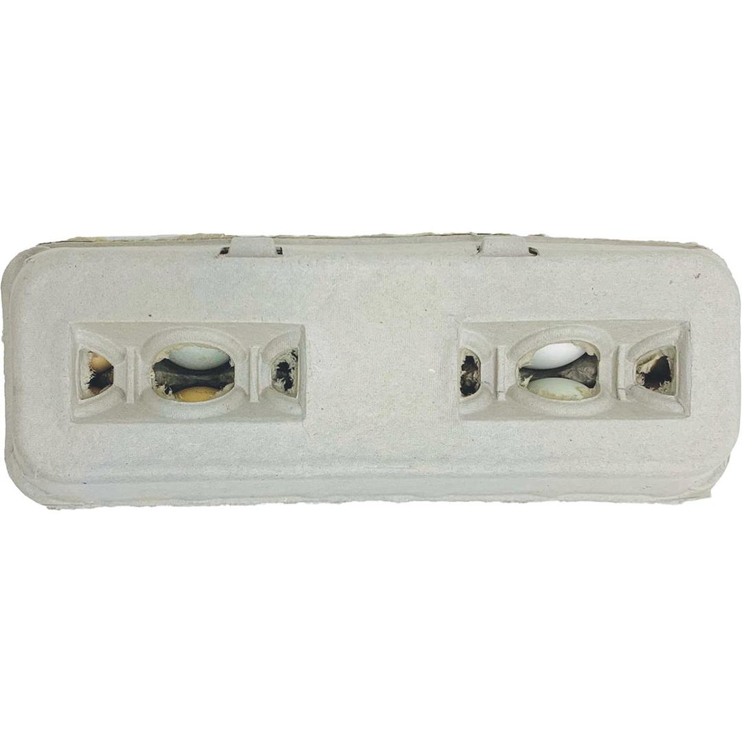 Product 737264