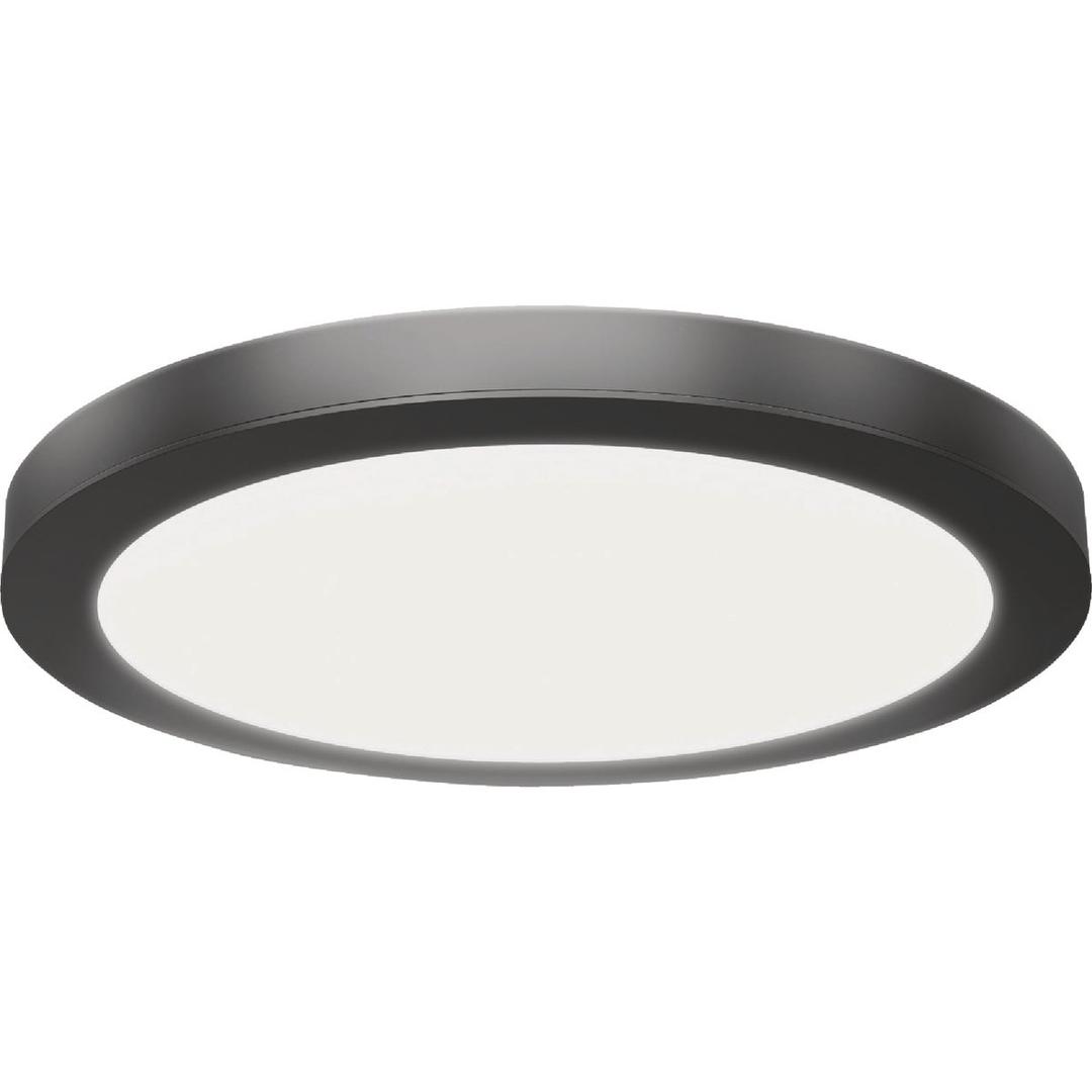 Product 542679
