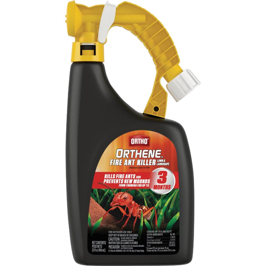 Product 755654