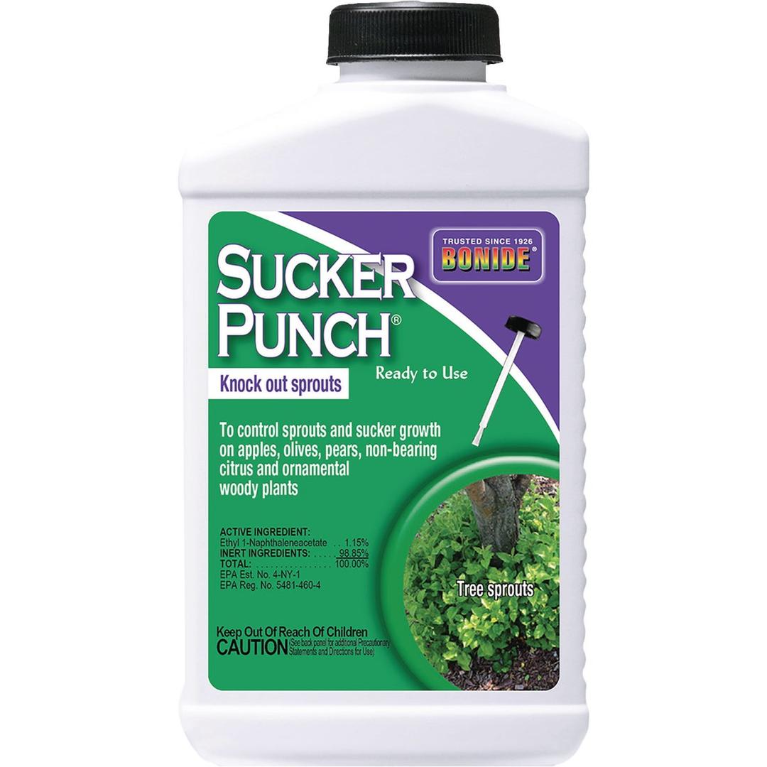 Product 747077
