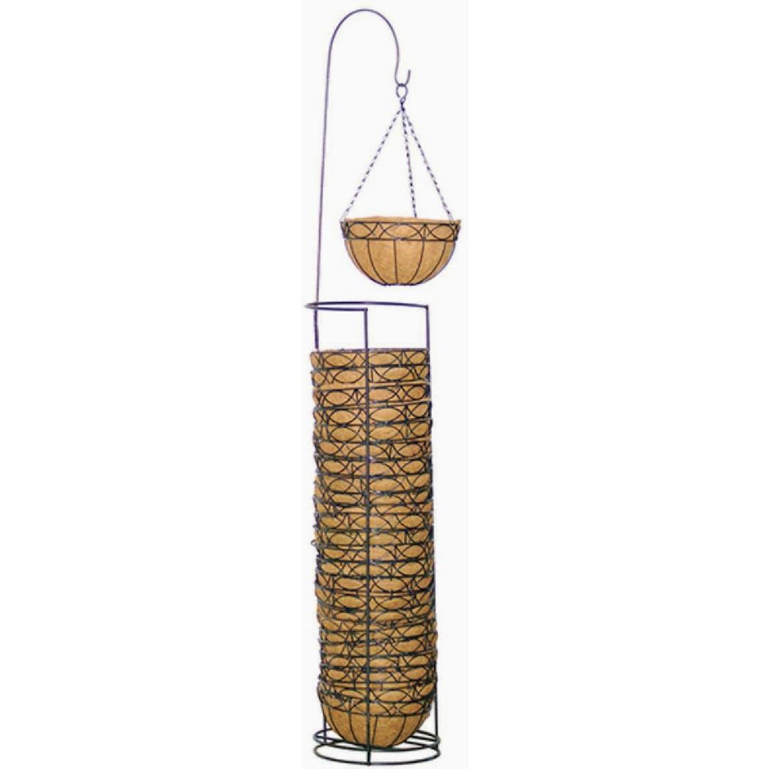 Product 733574