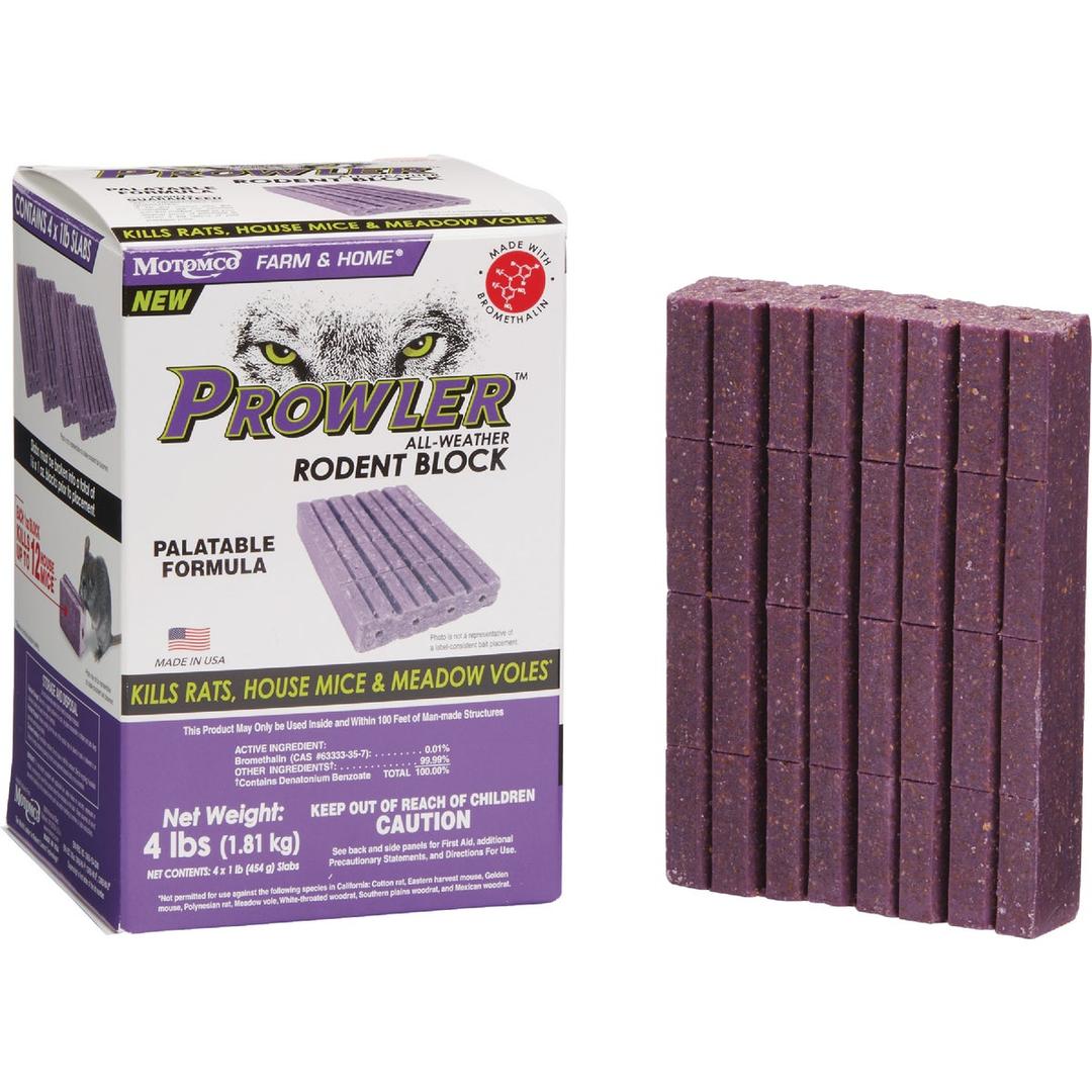 Product 748304