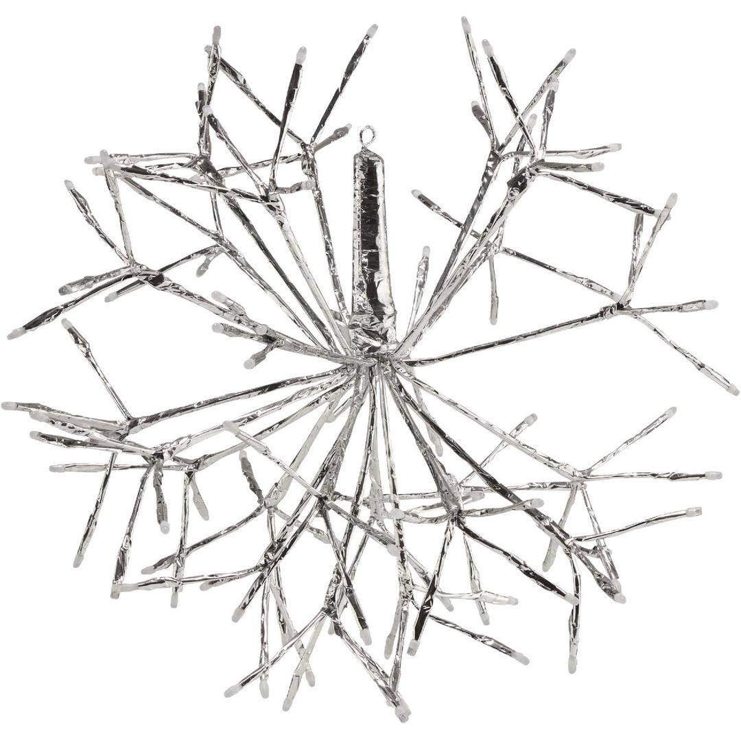 Product 810029