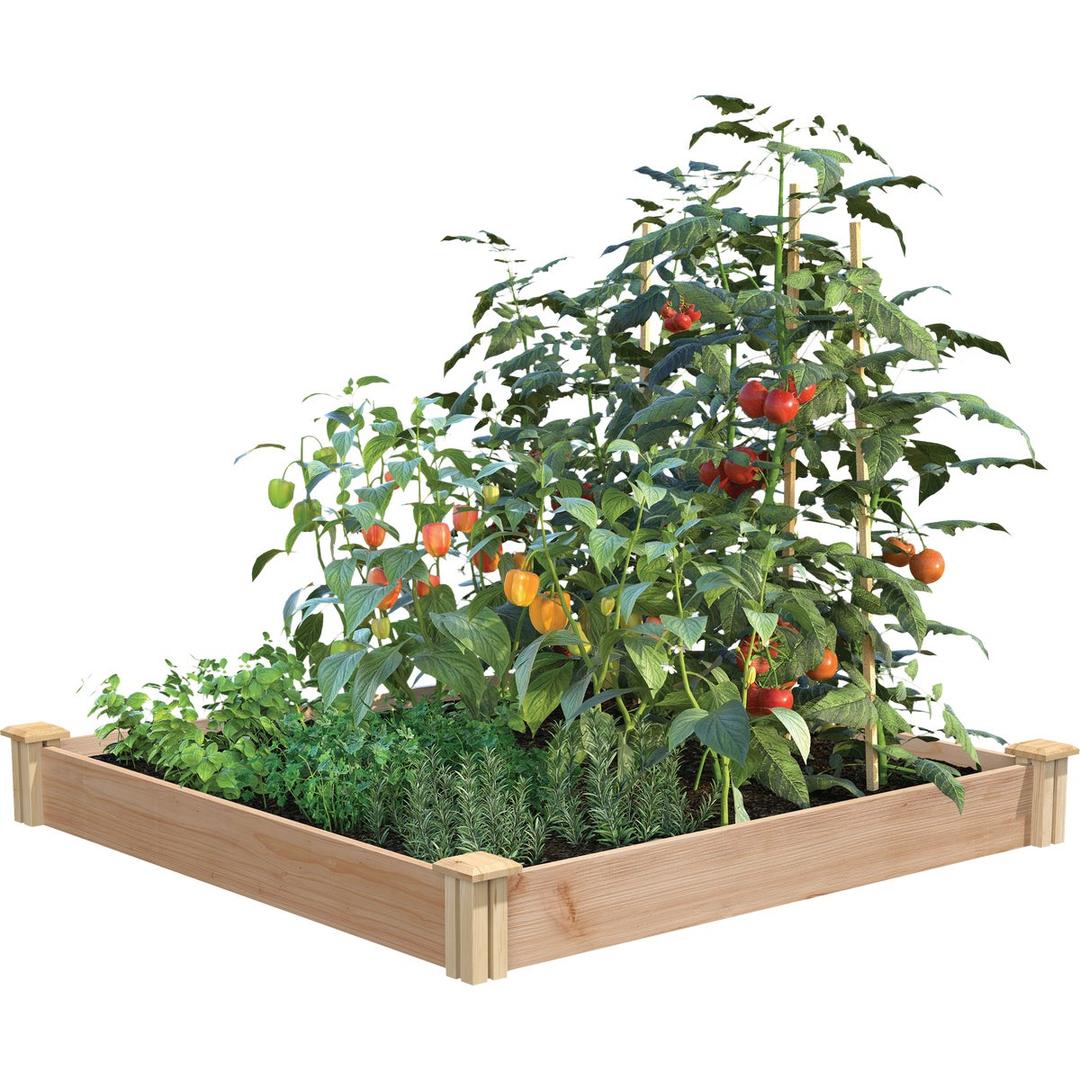 Product 757851