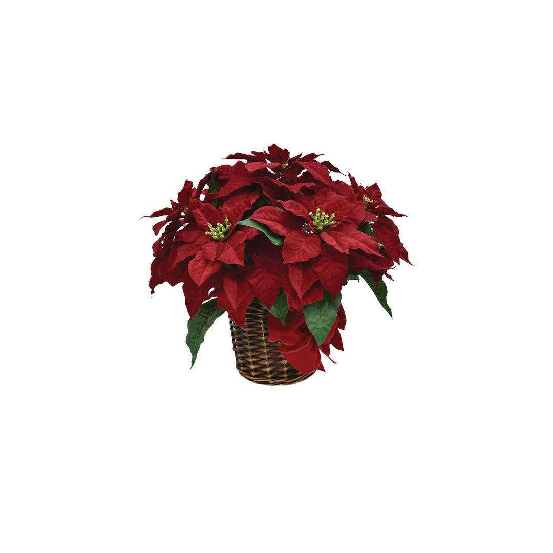 Product 900501