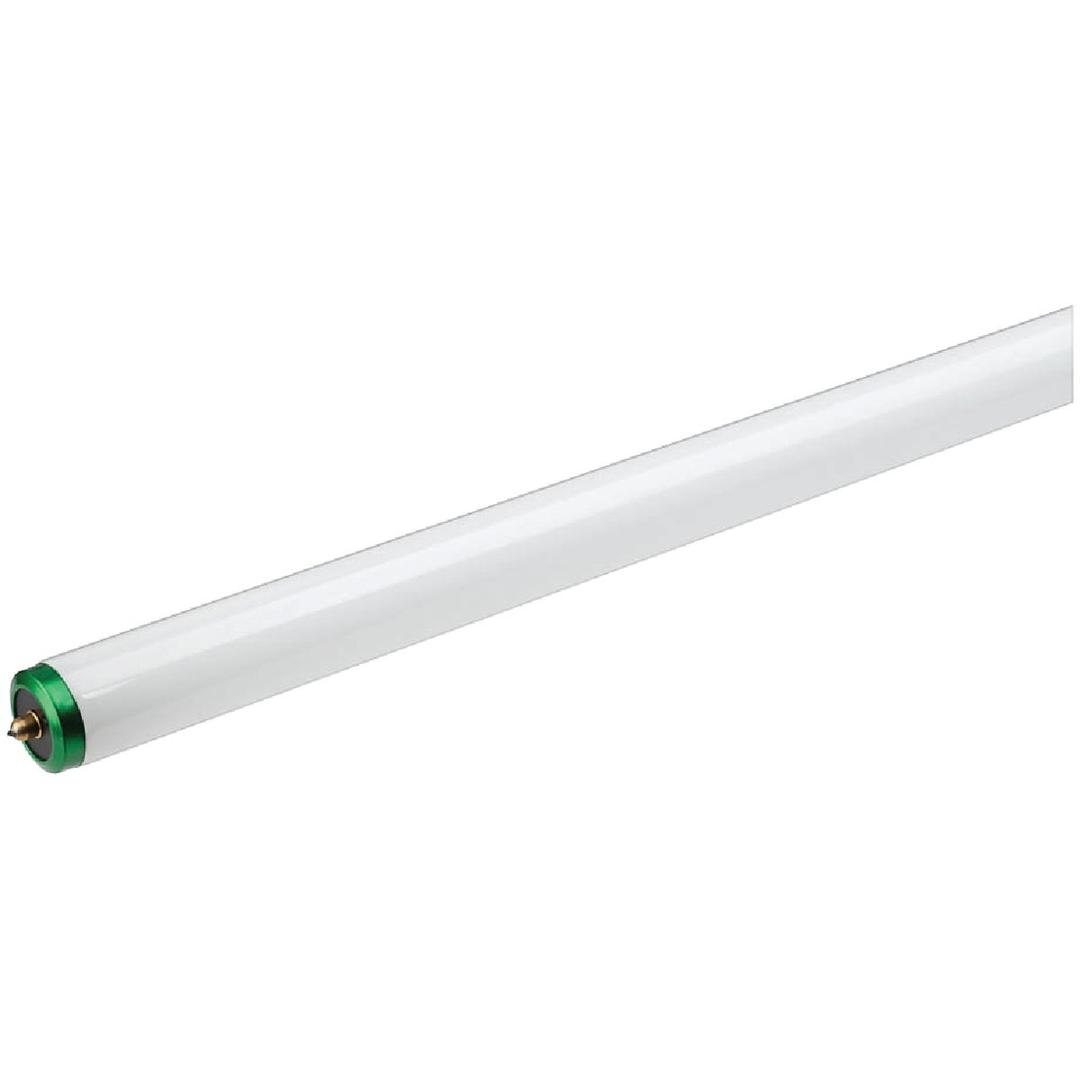 Product 545011