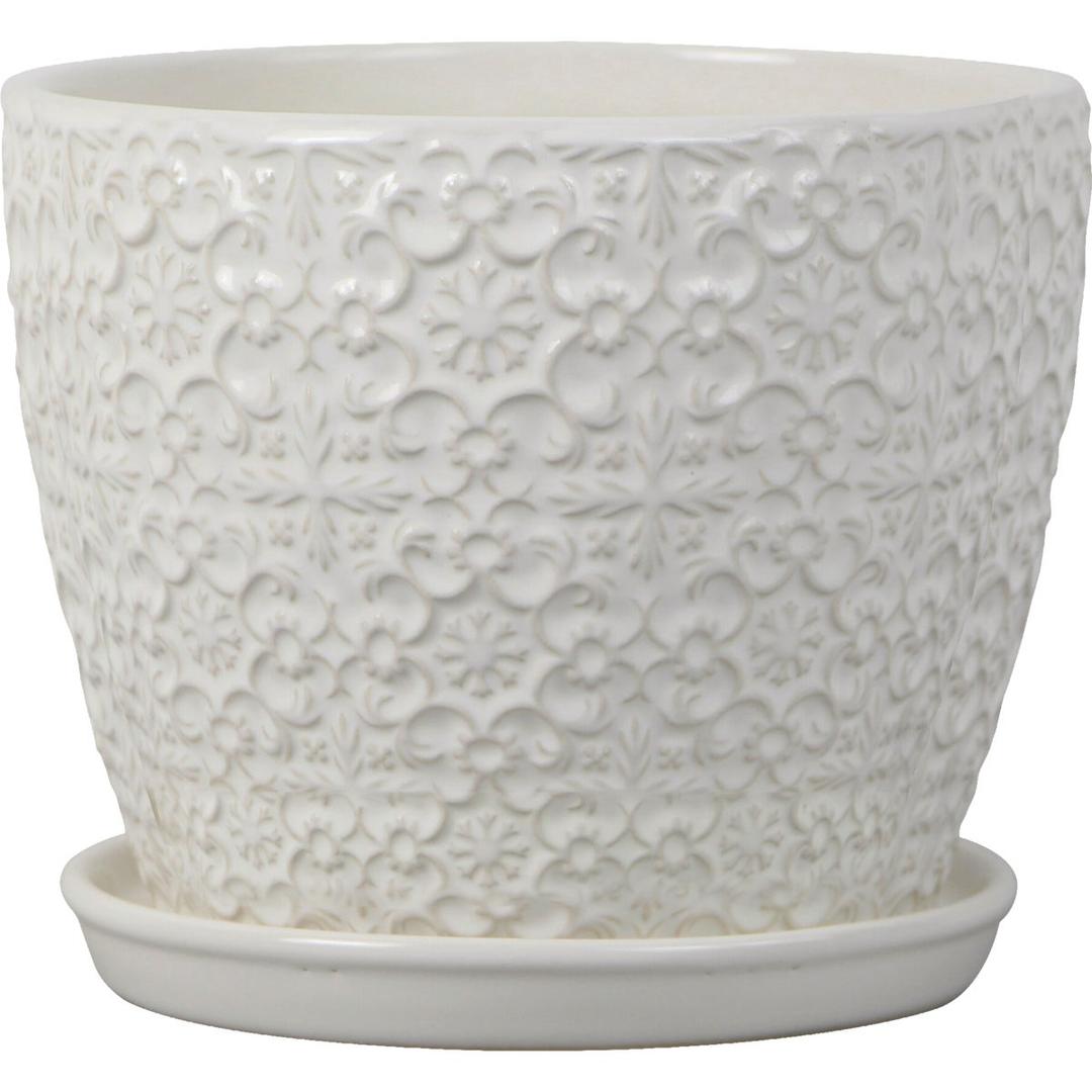 Product 731517