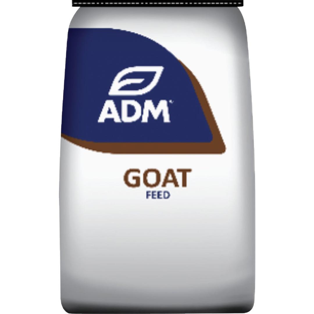 Product 764453