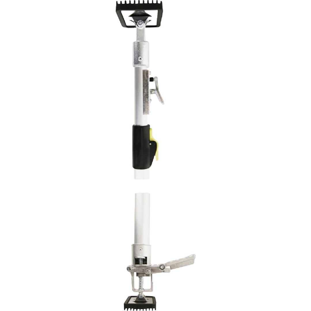 Product 781301