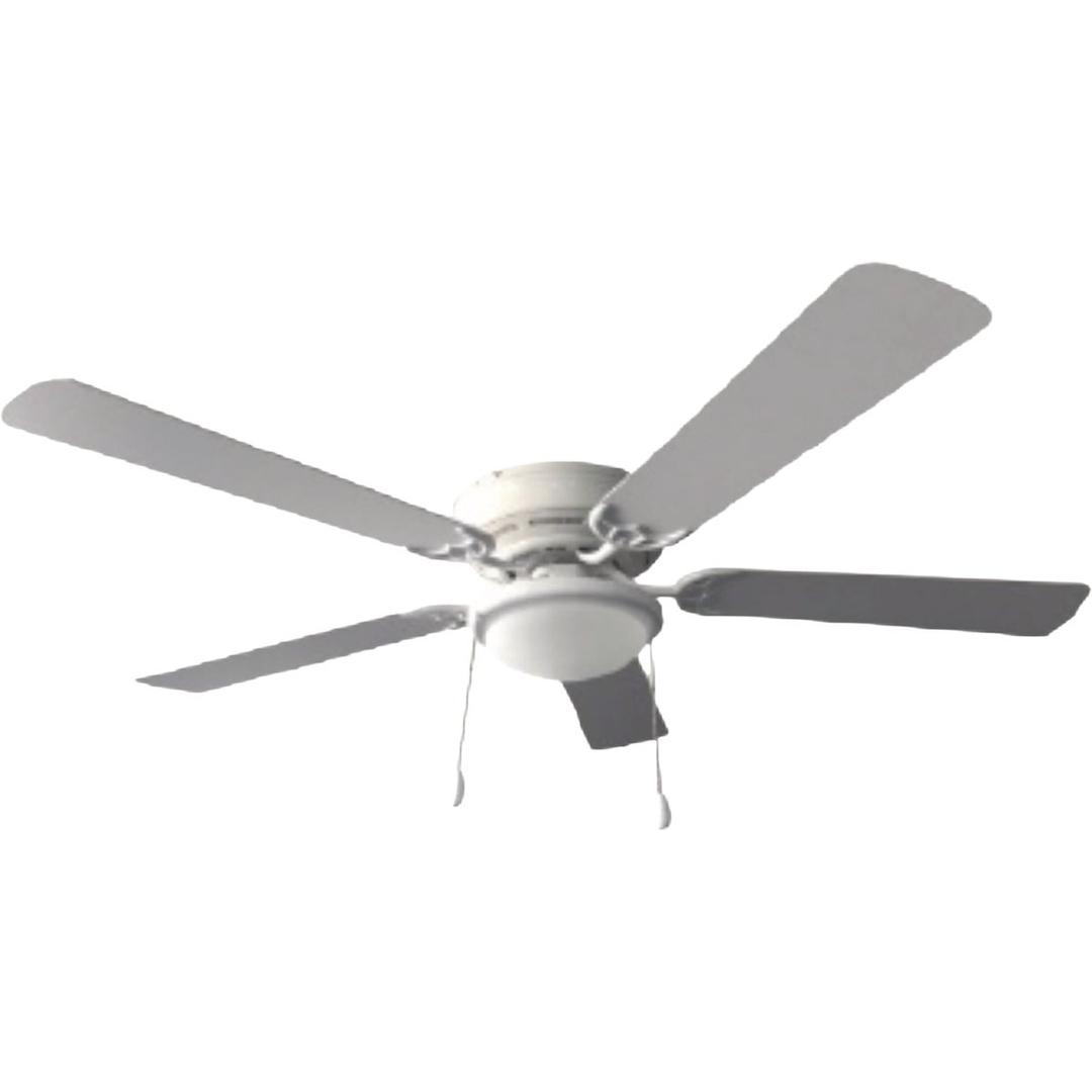 Product 517700