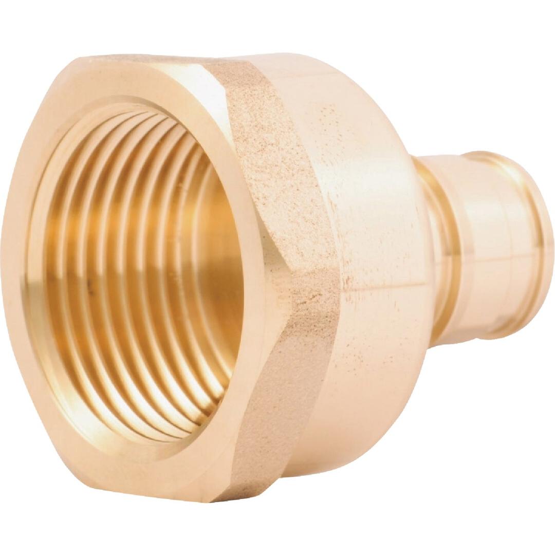 Product 424173