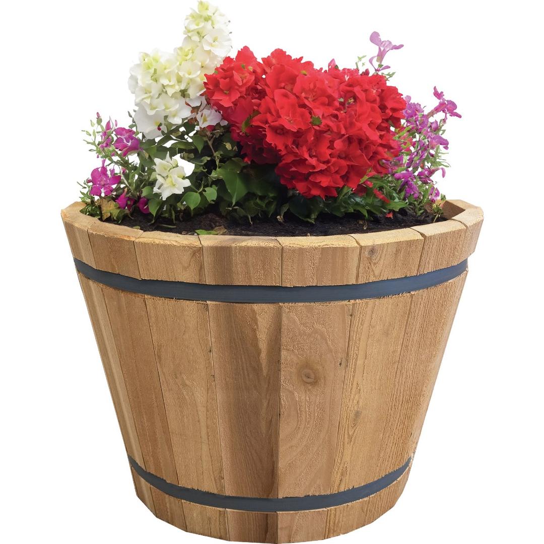 Product 710286
