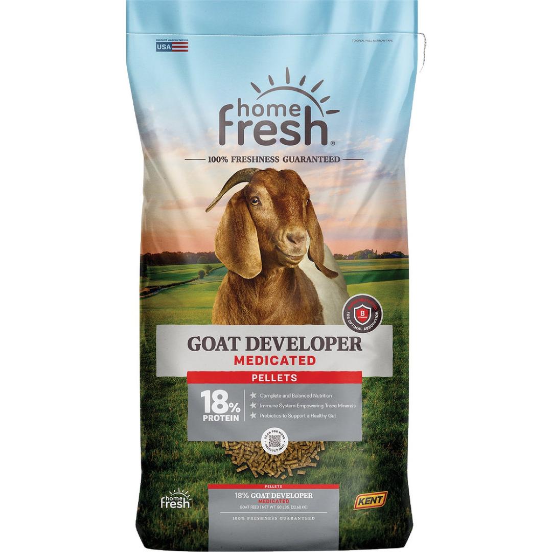 Product 748040