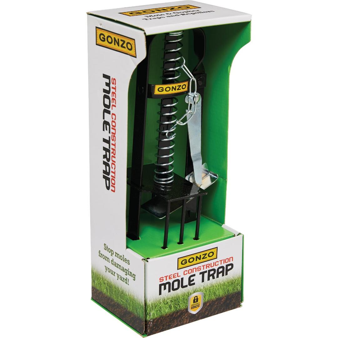 Product 709575