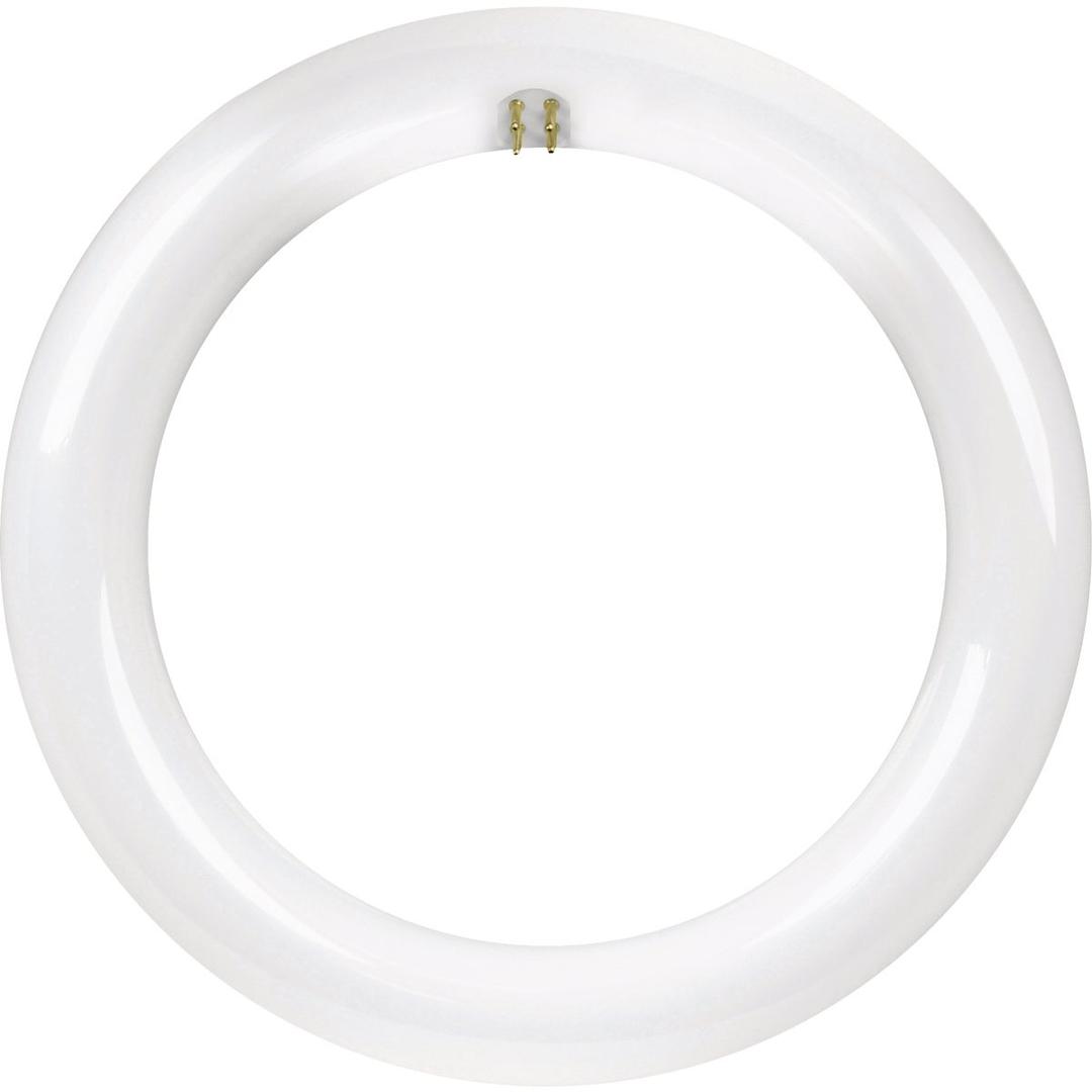 Product 533423