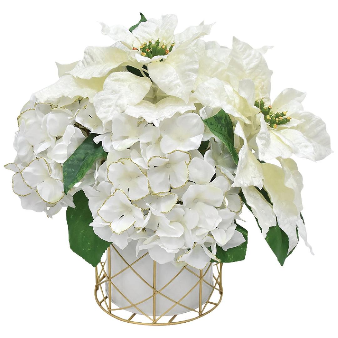 Product 908434
