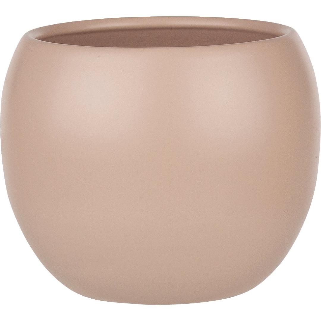 Product 733025