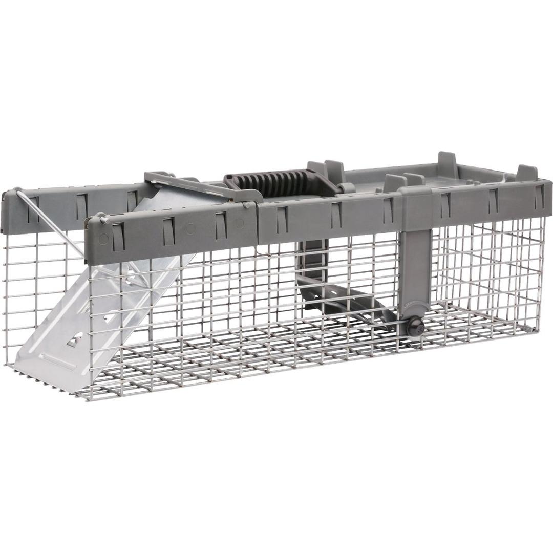 Product 718441